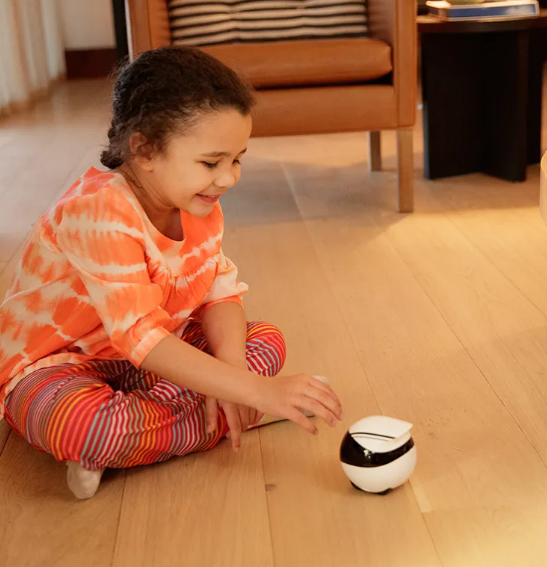 Smart Companion HomeBot (EBO SE/AIR)