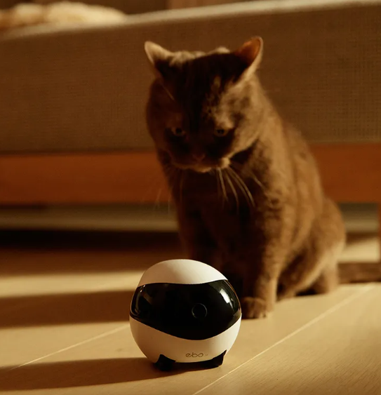 Smart Companion HomeBot (EBO SE/AIR)